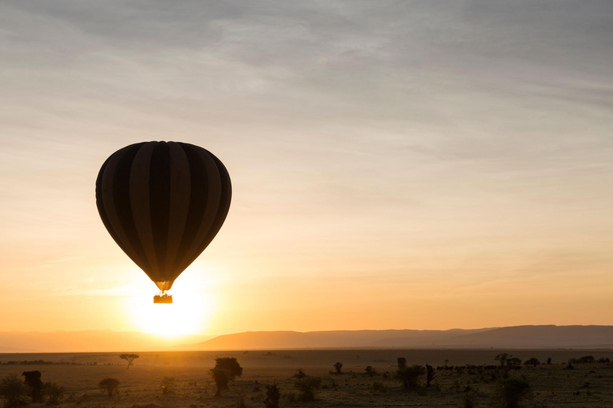Savannah Majesty Safari – Into the Heart of the Wild