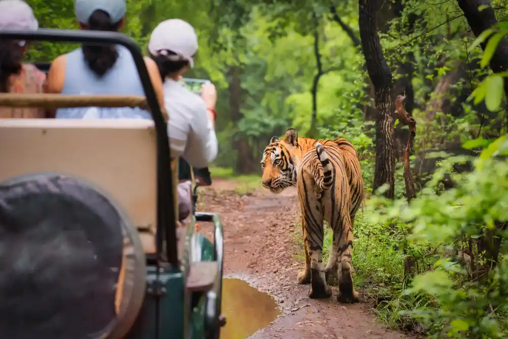 Jim Corbett